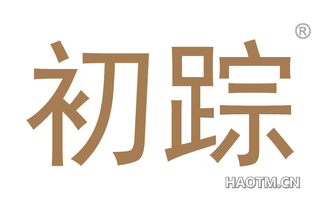 初踪 