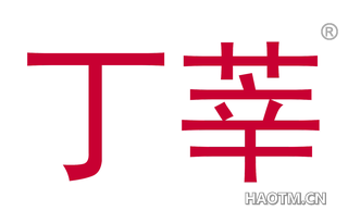 丁莘 