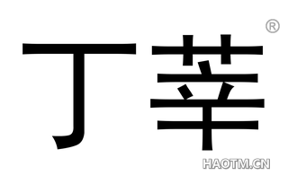 丁莘 