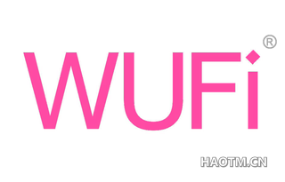  WUFI