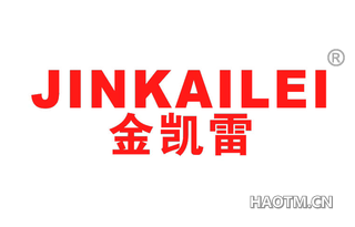 金凯雷 