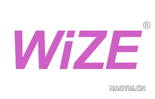  WIZE