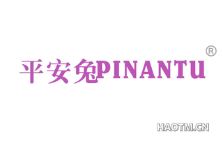 平安兔 PINANTU