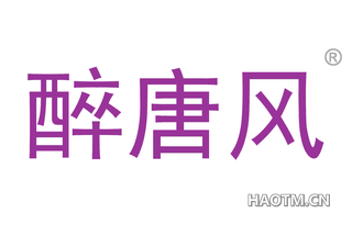 醉唐风 