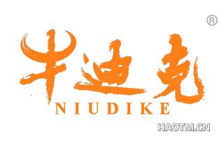 牛迪克 