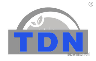  TDN