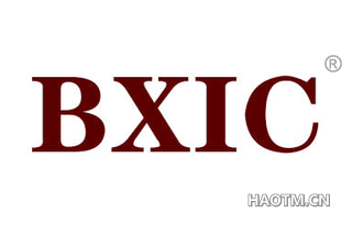  BXIC