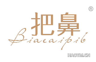 把鼻 BIAEAIPIB