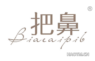 把鼻 BIAEAIPIB