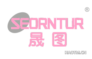 晟图 SEORNTUR