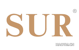  SUR