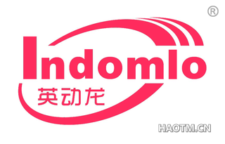 英动龙 INDOMLO