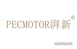 湃新 PECMOTOR