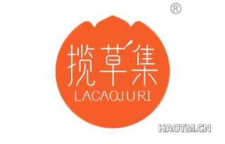 揽草集 LACAOJURI