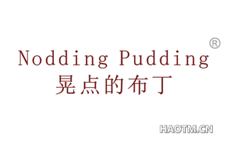 晃点的布丁 NODDING PUDDING