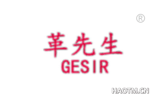 革先生 GESIR