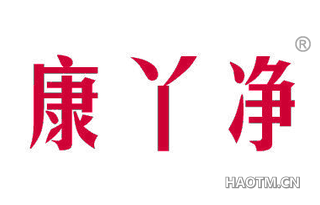 康丫净 