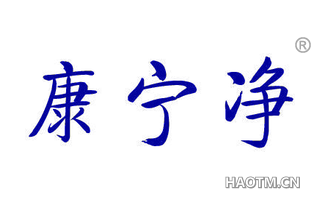 康宁净 