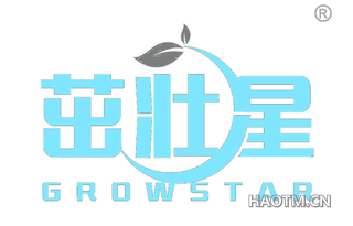 茁壮星 GROWSTAR