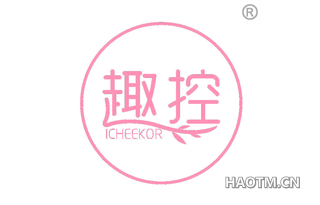 趣控 ICHEEKOR