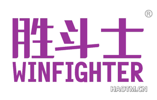 胜斗士 WINFIGHTER