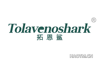 拓恩鲨 TOLAVENOSHARK