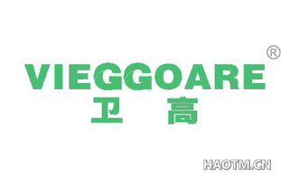 卫高 VIEGGOARE