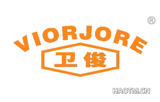 卫俊 VIORJORE