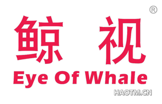 鲸视 EYE OF WHALE