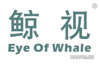 鲸视 EYE OF WHALE