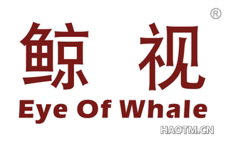 鲸视 EYE OF WHALE