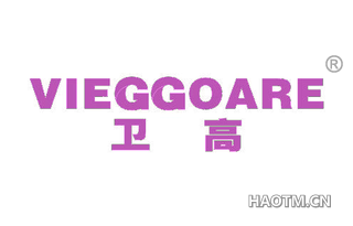 卫高 VIEGGOARE