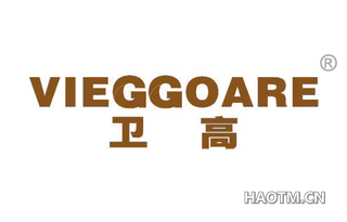 卫高 VIEGGOARE