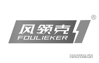 风领克 FOULIEKER