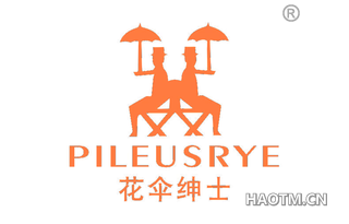 花伞绅士 PILEUSRYE