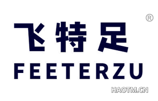 飞特足 FEETERZU