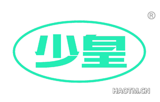 少皇 