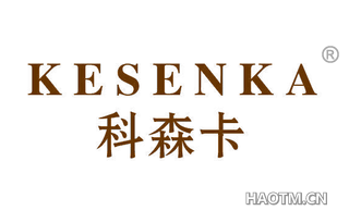 科森卡 