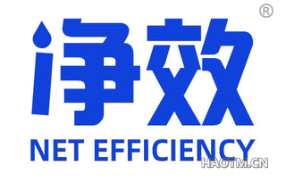 净效 NET EFFICIENCY