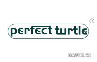 PERFECT TURTLE