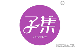 子集 ZRECJRCT