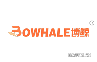 博鲸 BOWHALE