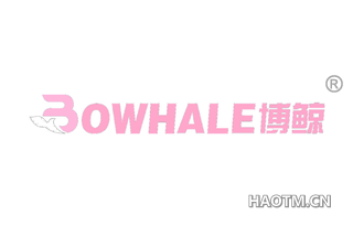 博鲸 BOWHALE