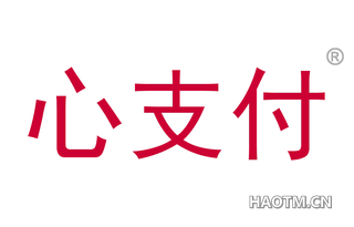 心支付 