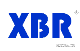  XBR
