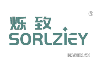 烁致 SORLZIEY