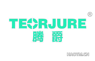 腾爵 TEORJURE