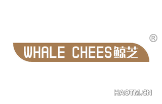 鲸芝 WHALE CHEES