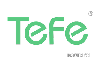  TEFE