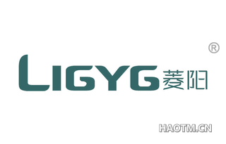 菱阳 LIGYG